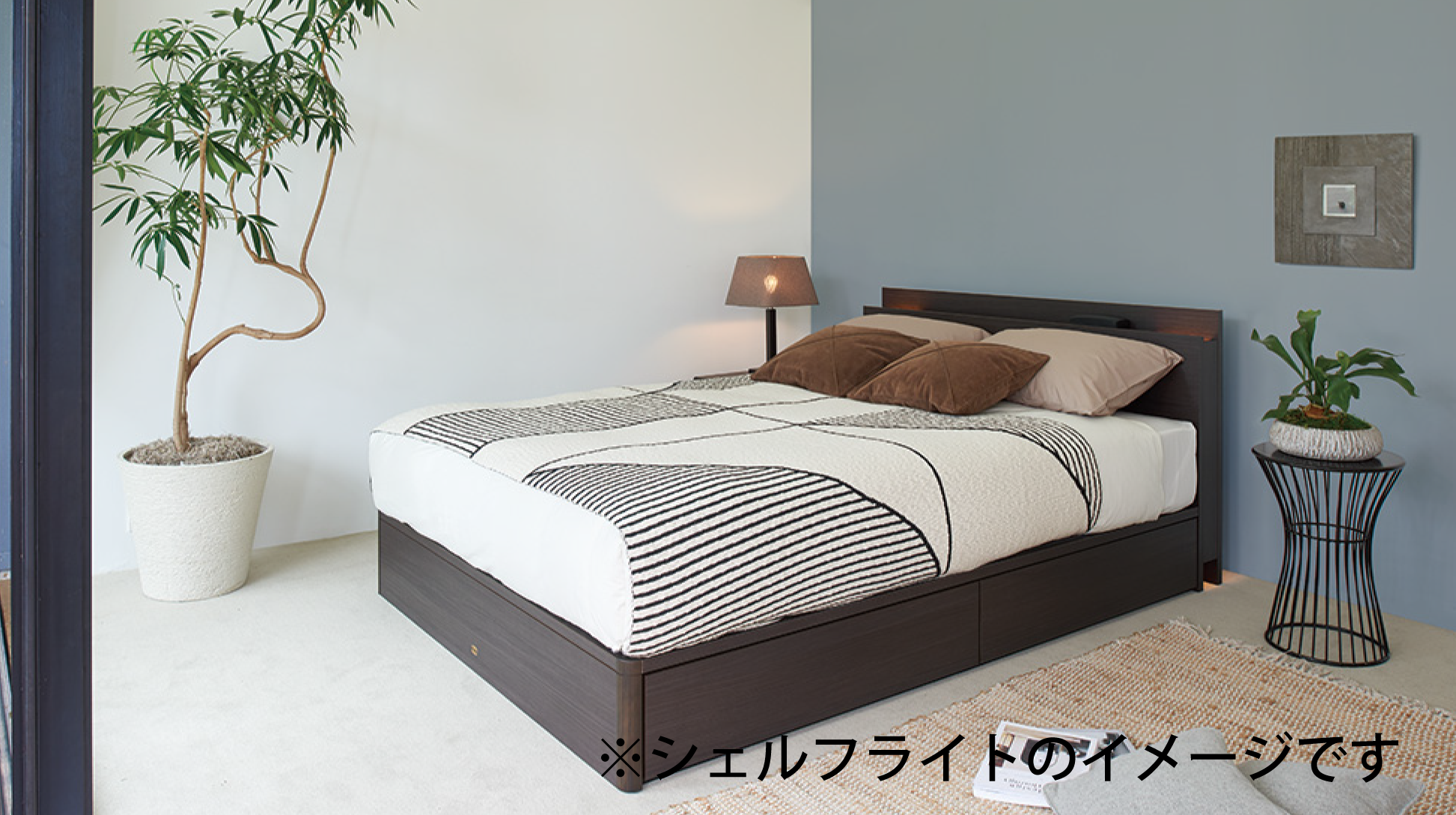 シモンズ｜シェルフライト 抽出 ミディアム色 SR1730017 シングル