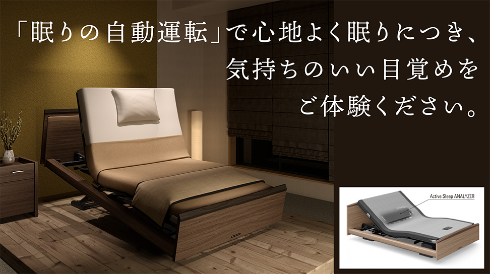パラマウントベッド｜INTIME 3000 (3モーター / ラウンドHB / Active Sleep ANALYZERなし) クラッシーダーク色 セミダブル